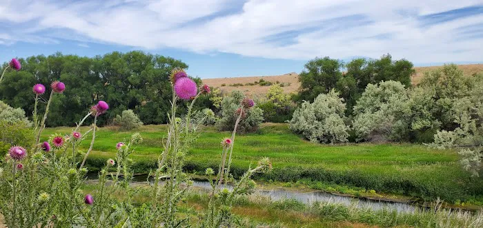 Batise Springs RV Park Picture 1