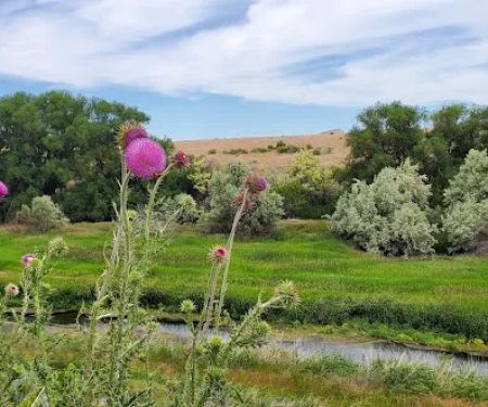 Batise Springs RV Park