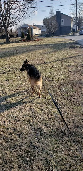 Copperstone Pointe Mobile Home Park Picture 5