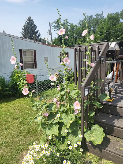 Civic Mobile Home Park Picture 1