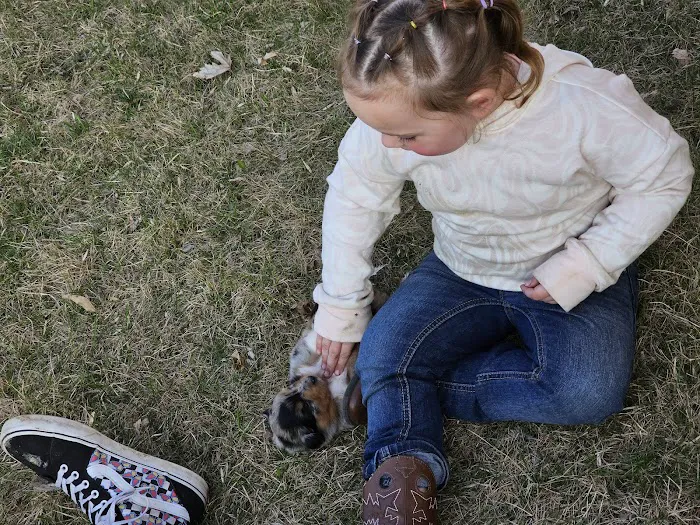 Airport Village Picture 2