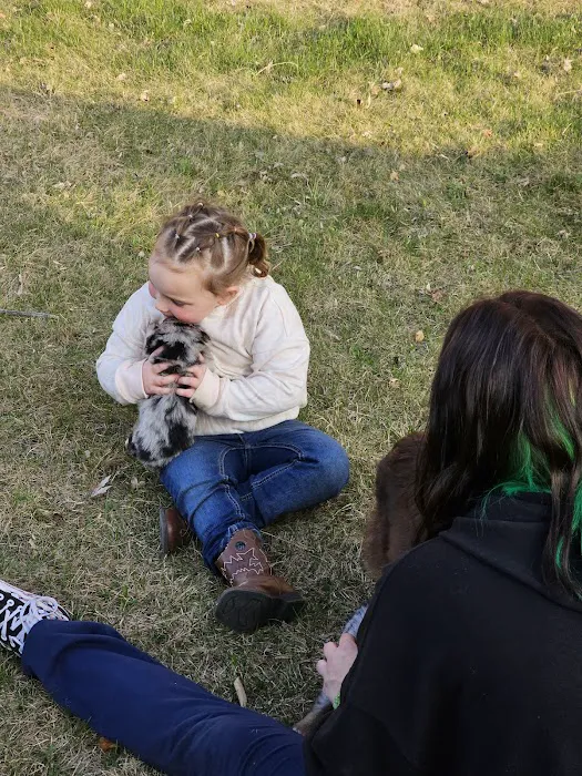 Airport Village Picture 1