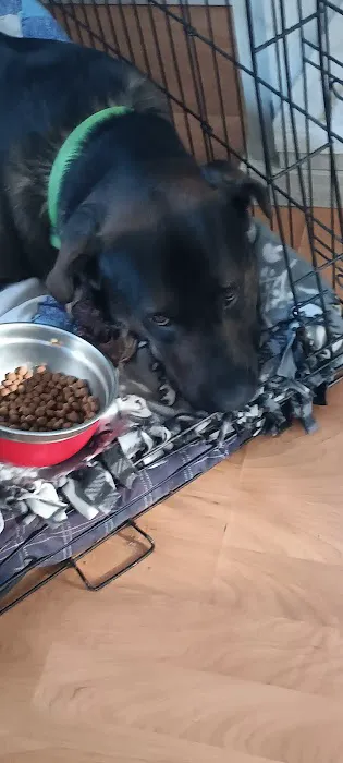 Skyway Park Village Picture 4