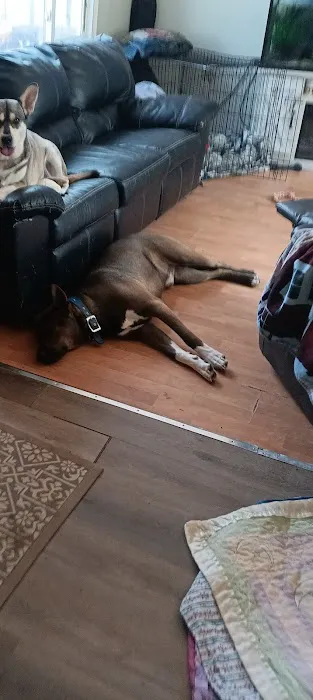 Skyway Park Village Picture 1