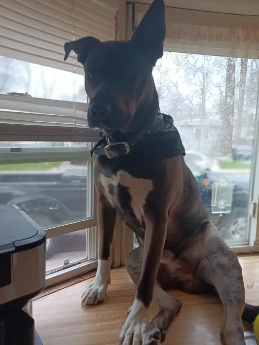 Skyway Park Village Picture 10