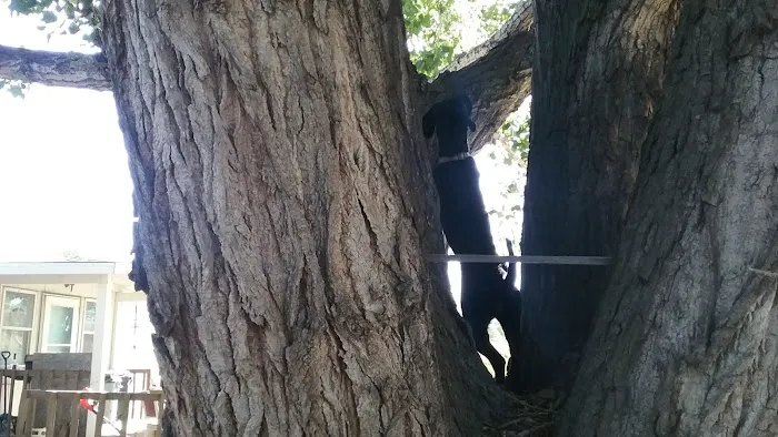 Wildwood Mobile Home Park Picture 2