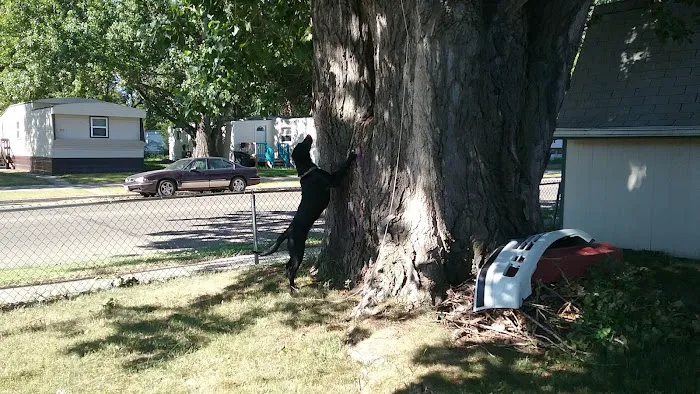 Wildwood Mobile Home Park Picture 4