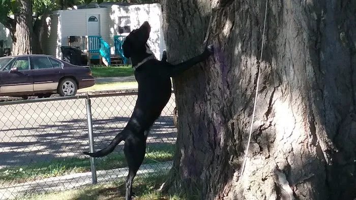 Wildwood Mobile Home Park Picture 1