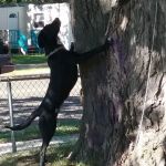 Wildwood Mobile Home Park