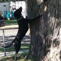 Wildwood Mobile Home Park ico