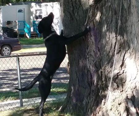 Wildwood Mobile Home Park