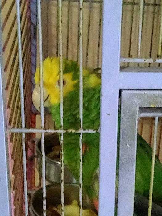 Blanco Family Park Picture 5