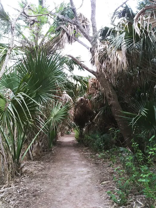 Sabal Palm Mobile Homes Park Picture 7