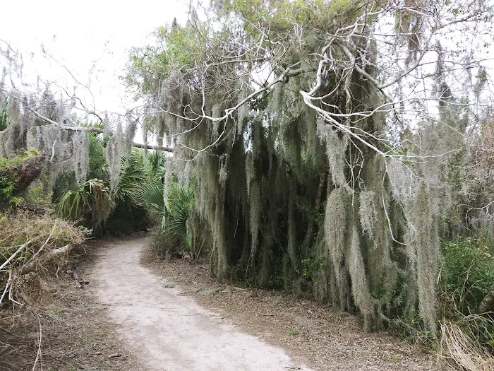 Sabal Palm Mobile Homes Park Picture 3