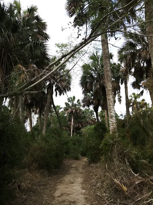 Sabal Palm Mobile Homes Park Picture 1