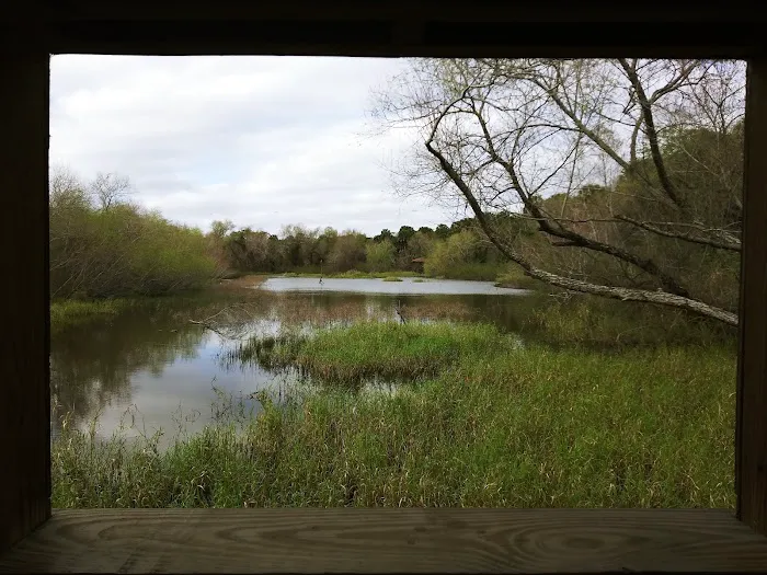 Sabal Palm Mobile Homes Park Picture 2