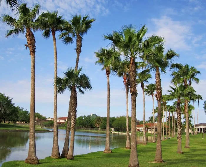 Palm Resaca Mobile Home Park, Inc. Picture 8