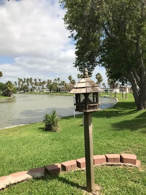 Palm Resaca Mobile Home Park, Inc. Picture 5