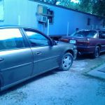 Royal Poinciana Family Park