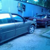 Royal Poinciana Family Park ico