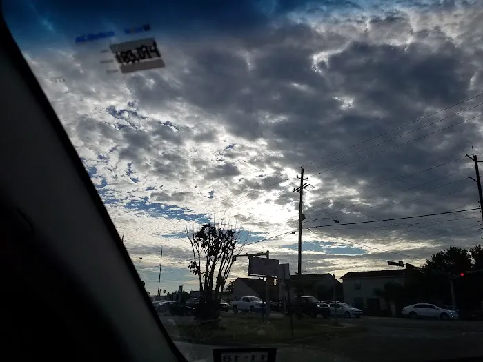 Royal Poinciana Family Park Picture 9