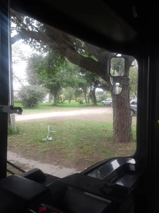 Gulf Trailer Park Picture 4