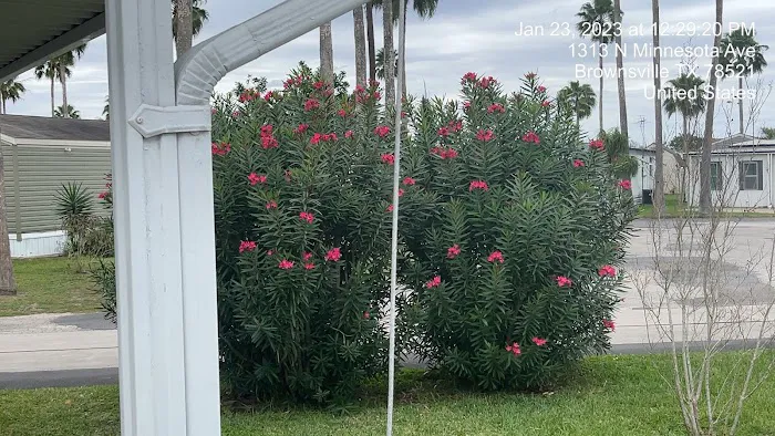 Gulf Breeze Manufactured Home Community Picture 9