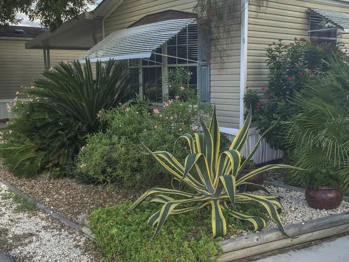 Palmdale RV Resort Picture 3