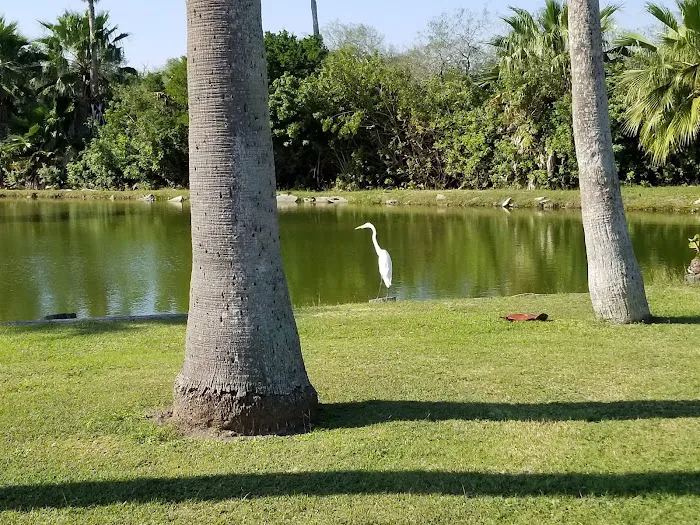 Four Seasons RV Resort | Brownsville Texas Picture 7