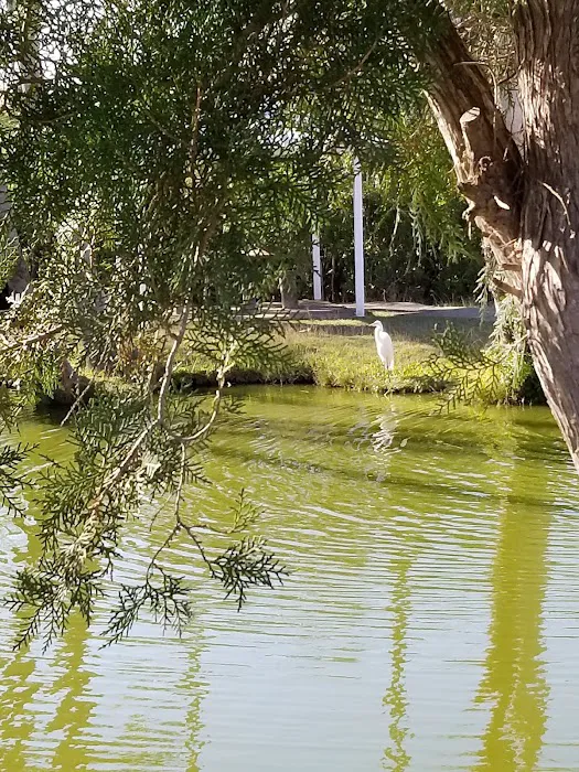 Four Seasons RV Resort | Brownsville Texas Picture 8