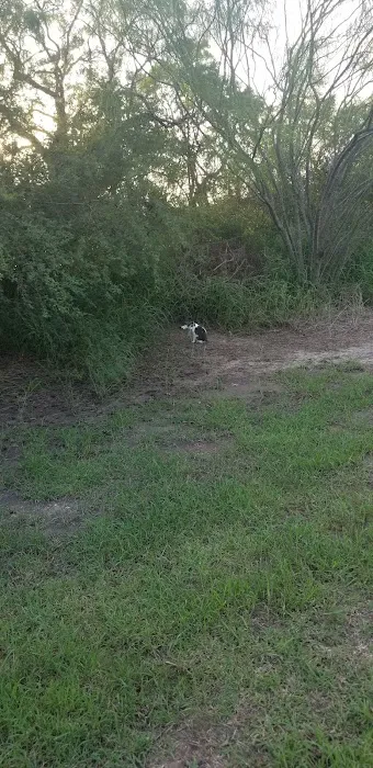 Trailer Village Picture 1