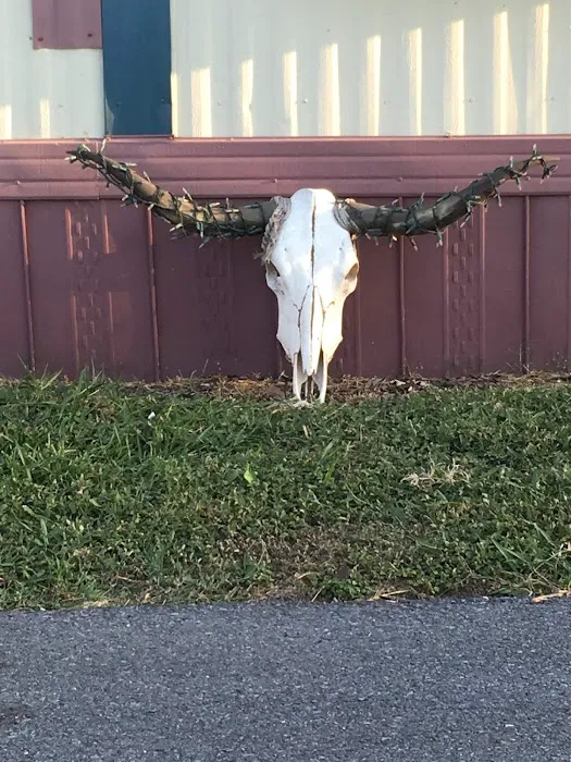 Autumn Acres MH RV Resort Picture 6