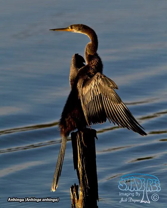 Breeze Lake Mobile Home and RV Campground Picture 3