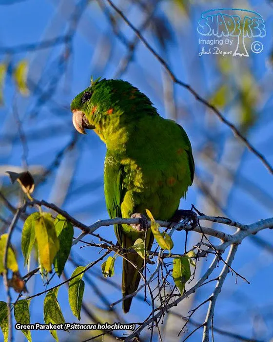 Breeze Lake Mobile Home and RV Campground Picture 8