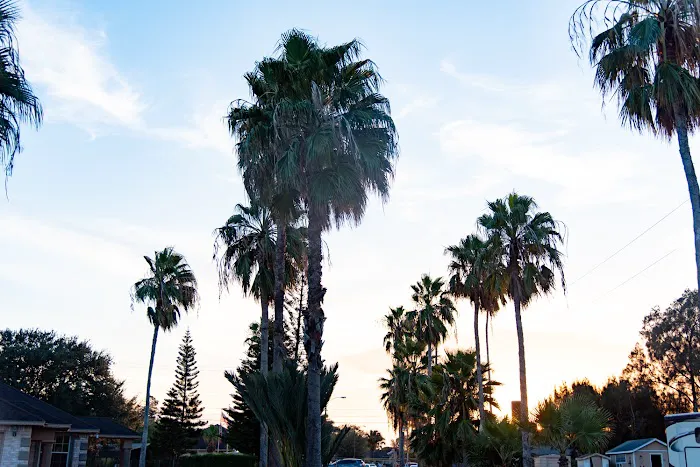 Breeze Lake Mobile Home and RV Campground Picture 6