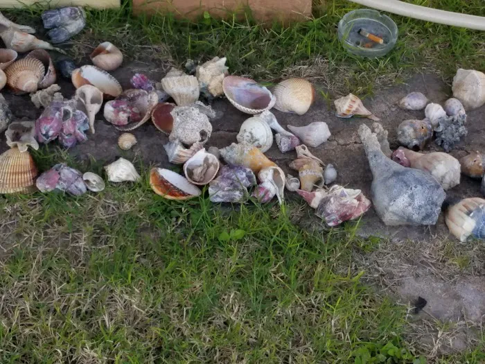 Rod N Reel RV Court Picture 10