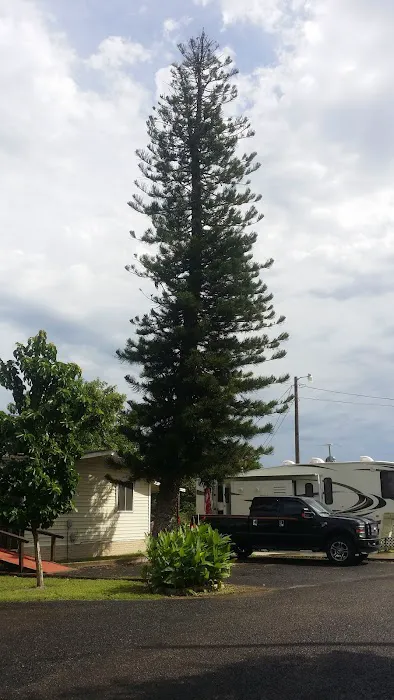 Rod N Reel RV Court Picture 9