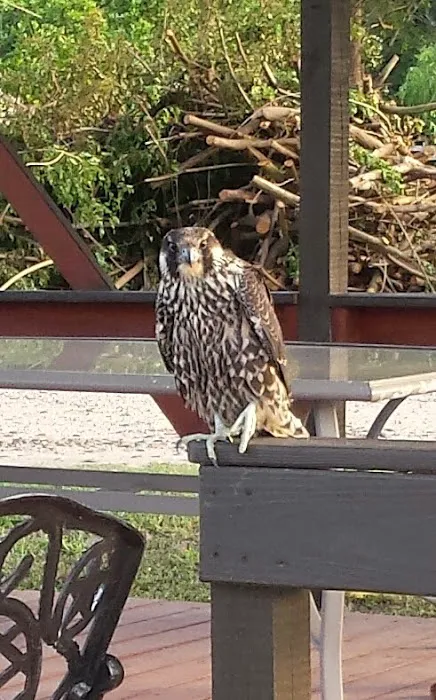 Rod N Reel RV Court Picture 5