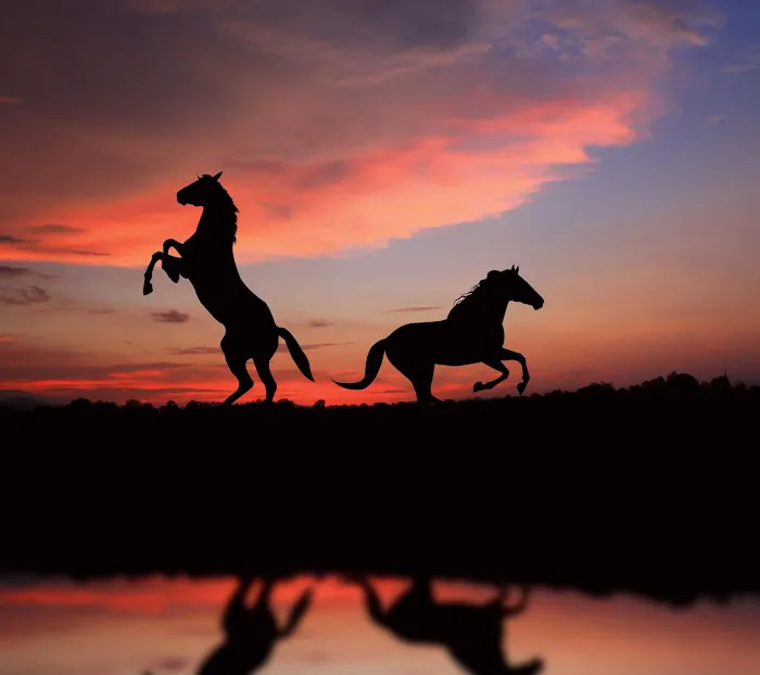 Circle RV Park Picture 2