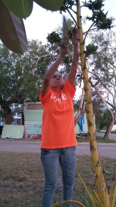 Valencia Village Picture 3