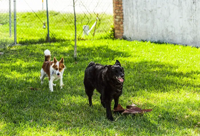 Pan American Mobile Home & RV Park Picture 2