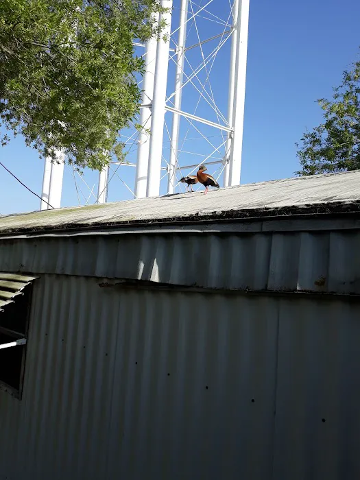 Tropical Trail Mobile Home-Rv Picture 9