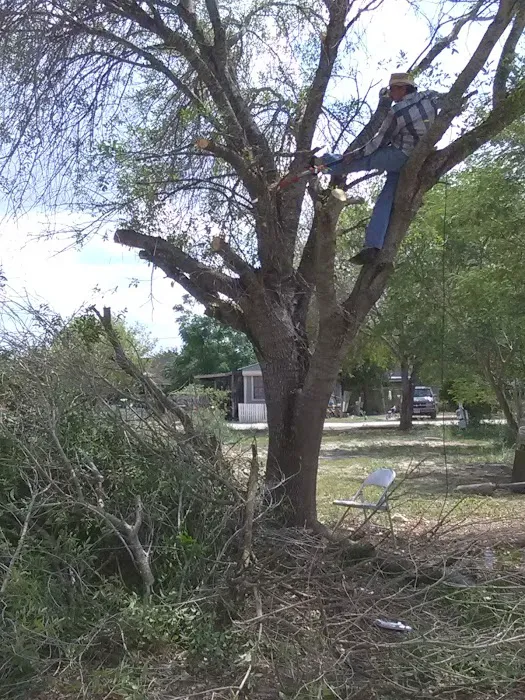 Tropics Mobile Home Community Picture 4