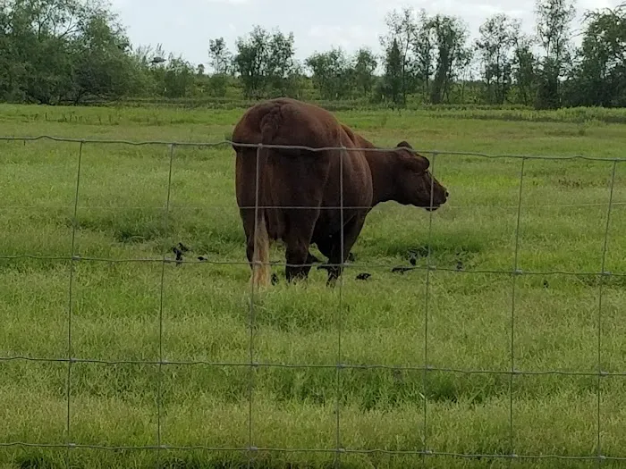 First Colony Picture 2