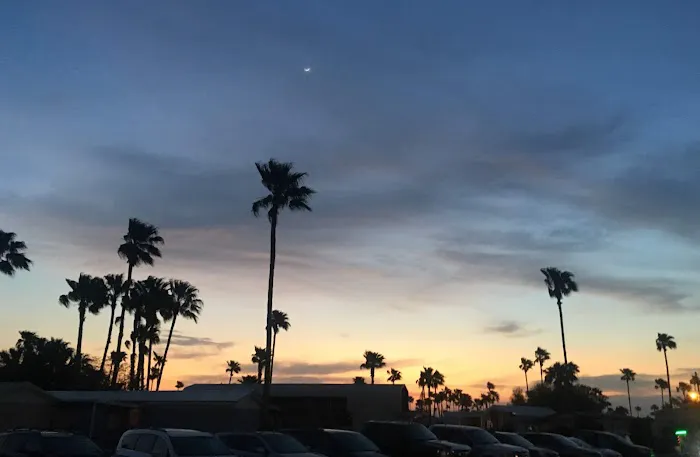 Encore Fun-N-Sun Picture 4