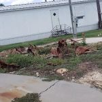 Eastgate Mobile Home & Rv Park