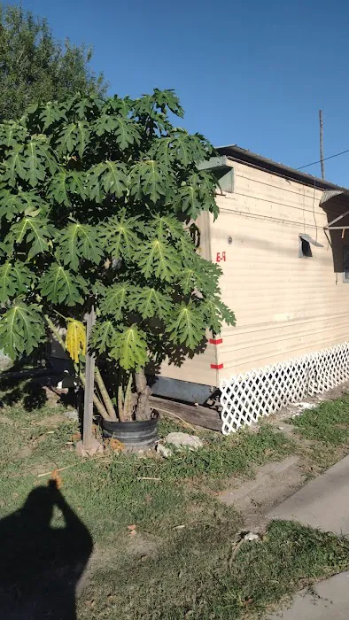 Fair Park MHP Picture 9