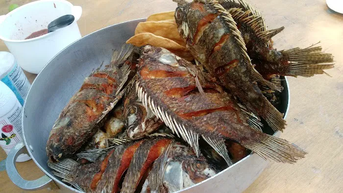 Fair Park MHP Picture 6