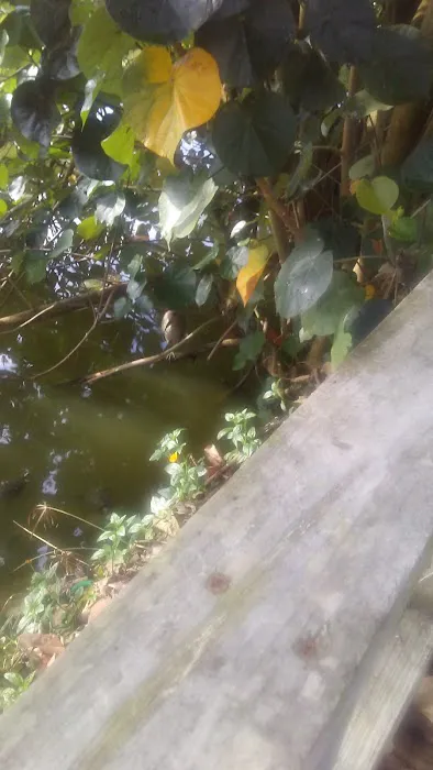 Posada Del Sol Mobile Home Pk Picture 3