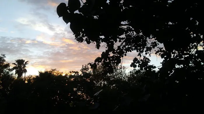 Posada Del Sol Mobile Home Pk Picture 4